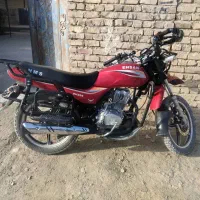 احسان شکاری