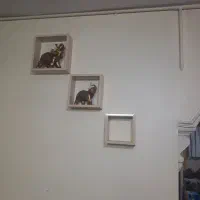 باکس شیک