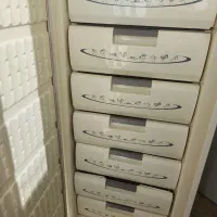 یخچال فریزر ارج