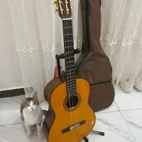 گیتار یاماها مدلc70