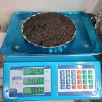 پخش چای باروتی پرزر سیلان ۴۸۰ تومان