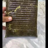 سبزی سرخ شده قرمه سبزی