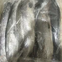 ماهی قزل الای تازه پاک شده
