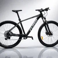 دوچرخه فلش کربن دعور