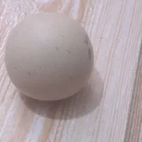 سنگ الماس اسیاب