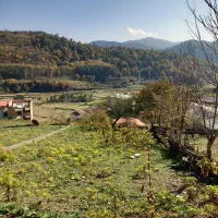 ملک-سند-دار