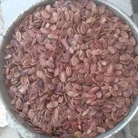یک کیلو دانه هندوانه برای بذر