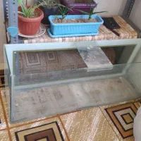 دو عدد آکواریوم...کوچک و بزرگ