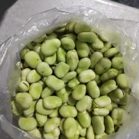 باقالی