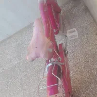 چرخ دخترانه