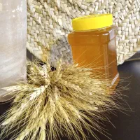 عسل طبیعی از دل طبیعت|خوردنی و آشامیدنی|تهران, دهم فروردین|دیوار