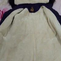 پالتو|لباس|شاهینشهر, خبرنگار|دیوار