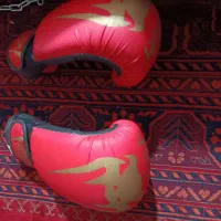 کیس بکس|تجهیزات ورزشی|مسجد سلیمان, |دیوار