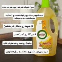 لینکس ، وایتکس گیاهی و انتی باکتریال محیط