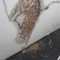 سمپاشی وموریانه زدایی باضمانت نامه کتبی