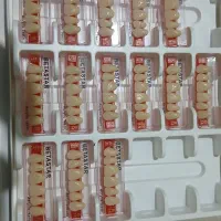 دندان مصنوعی