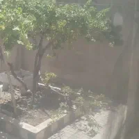 مغازه-تجاری-14-متری