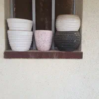 گلدان سفالی|گل و گیاه طبیعی|تهران, قصر فیروزه ۲|دیوار