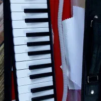 یک عدد ملودیکا