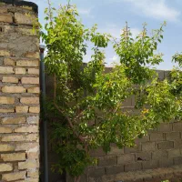 فشند باغچه نیمه کاره|فروش خانه و ویلا|هشتگرد, فشند|دیوار