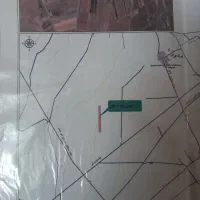 زمین کشاورزی ۳۸ هکتاری|فروش دفتر صنعتی، کشاورزی، تجاری|تاکستان, |دیوار