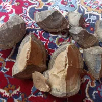 سنگ قیمتی داخل زردرنگ