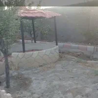 باغ-ویلا-شاهنامه-76