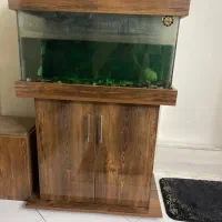 آکواریوم با تمام وسایل