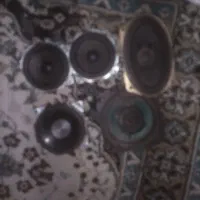 پنج عددباندپایونیر