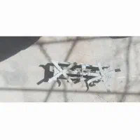 لوازم فروشی|دوچرخه، اسکیت، اسکوتر|سنقر, |دیوار