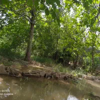 فروش باغ ویلایی|فروش خانه و ویلا|بوانات, |دیوار