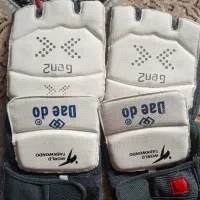 روپایی سنسوری