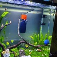 آکواریوم پلنت شده کامل