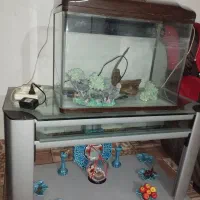 اکواریوم زیبا و تمیز شیشه نیس بشکنه طلقه