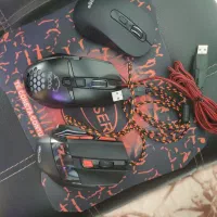 موس تسکو ، کایسر
