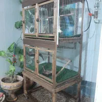 فقس پرنده|لوازم جانبی حیوانات|شیراز, حجت آباد|دیوار