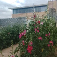 رهن و اجاره منزل روستایی در روستای الله آباد علیا