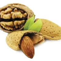 گردو و بادام تازه