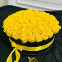 گل روبانی|گل مصنوعی|زرقان, |دیوار