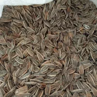 تخمه درجه یک بوداده|خوردنی و آشامیدنی|برخوار, |دیوار