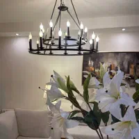 لوستر مشکی|لوستر و چراغ آویز|تهران, امجدیه (خاقانی)|دیوار