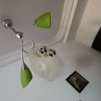 لوستر شیک