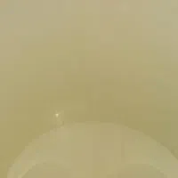 سطل زباله یا آشغال|لوازم نظافت|مشهد, هنرور|دیوار