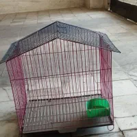 قفس پرنده