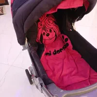 کالسکه|کالسکه و لوازم جانبی|نظرآباد, شهرک سید جمال الدین|دیوار