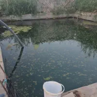 گلخانه سنتی