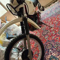 ایکس ال۲۵۰