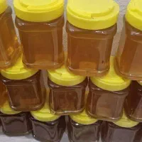 فروش عسل مرغوب درمانی کردستان|عمده‌فروشی|بندر ماهشهر, |دیوار