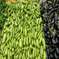 کارگر میوه فروشی باحقوق بالا وبیمه وغذا و جای خواب|استخدام خدمات فروشگاه و رستوران|کرج, باغستان|دیوار