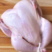 استخدام نیروی کار کشتارگاه هامون